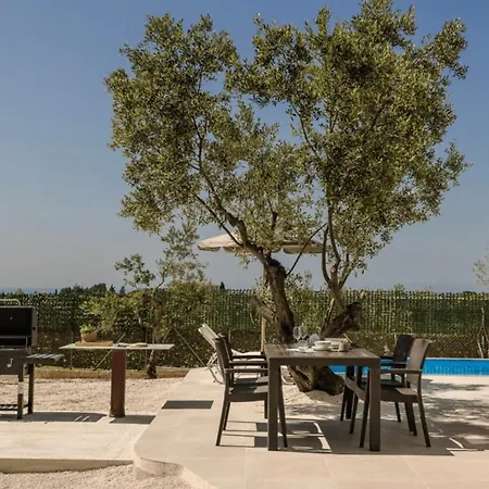 Olive Grove * Trapezaki (Kefalonia)