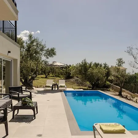 Olive Grove