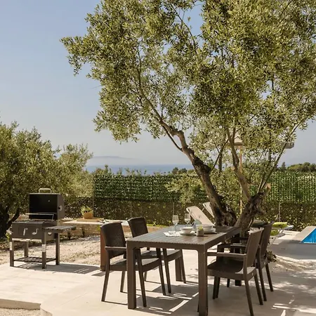 Olive Grove Trapezaki (Kefalonia)