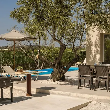 Olive Grove *