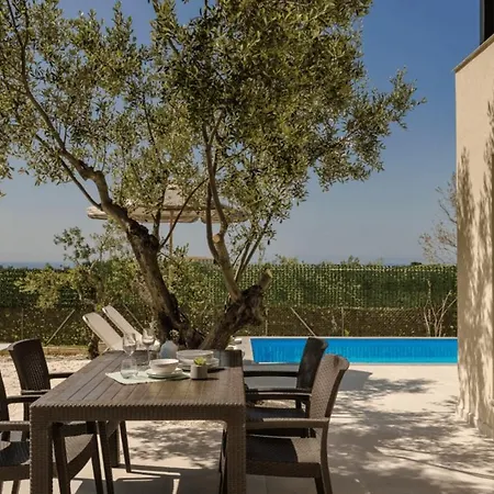 Olive Grove Trapezaki (Kefalonia)