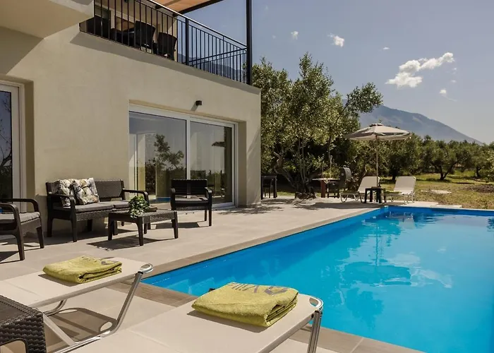 Olive Grove * Trapezaki (Kefalonia)